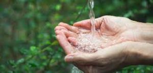 El agua elemento vital para el desarrollo